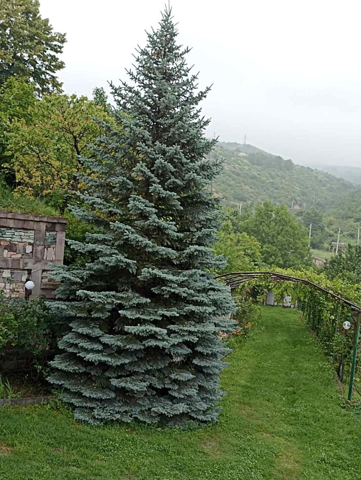 Luse Guest House Ijevan Bagian luar foto